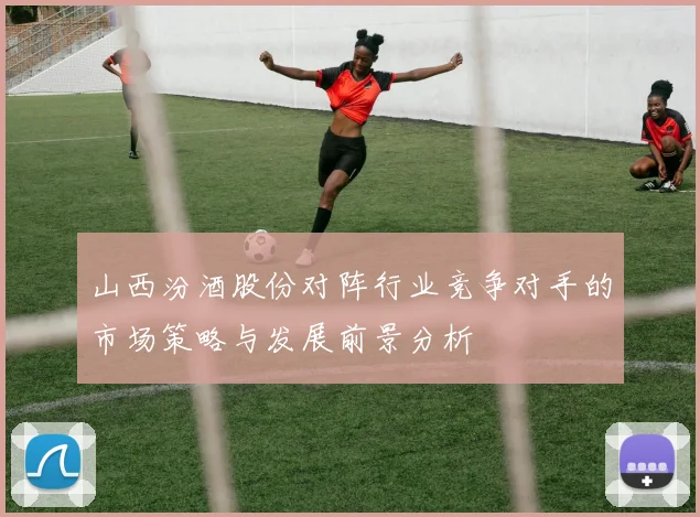 山西汾酒股份对阵行业竞争对手的市场策略与发展前景分析