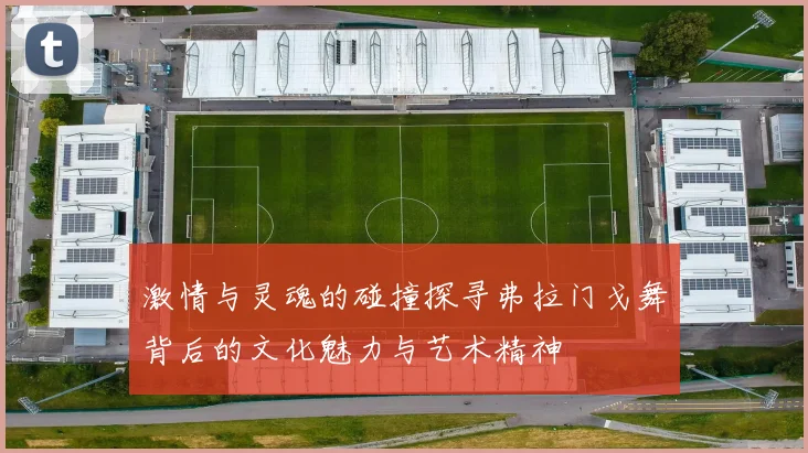 激情与灵魂的碰撞探寻弗拉门戈舞背后的文化魅力与艺术精神