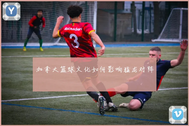 加拿大篮球文化如何影响猛龙对阵