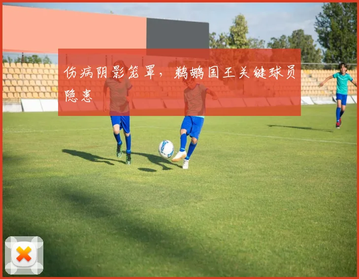 伤病阴影笼罩，鹈鹕国王关键球员隐患