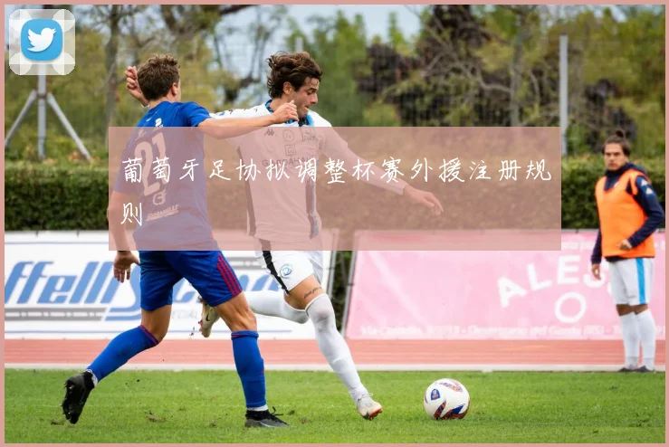 葡萄牙足协拟调整杯赛外援注册规则